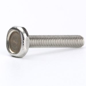 corrosion resistant screws