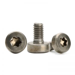 torx socket head cap screw