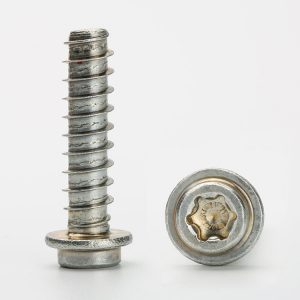 torx stainless steel screws