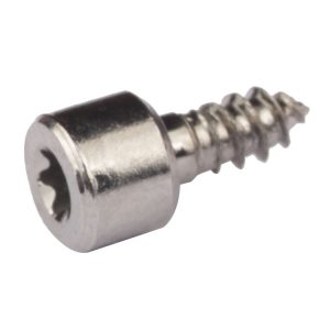 torx socket head screws