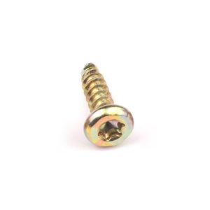 Torx Thread Forming Screws Supplier | Shi Shi Tong