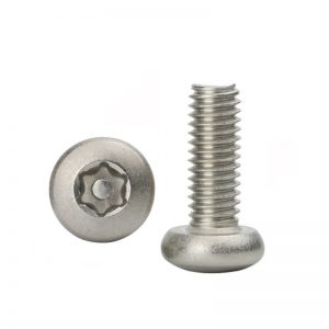 Stainless Steel Tamper Proof Screws