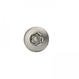 stainless steel tamper proof screws