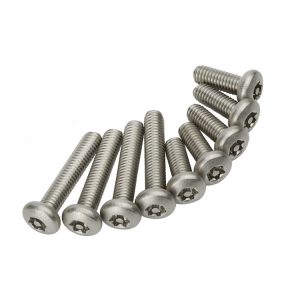 Tamper Resistant Torx Screws