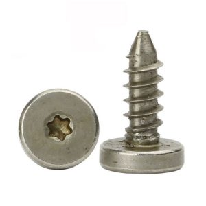 stainless steel self tapping screws torx