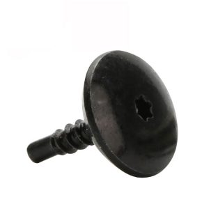 black torx screws