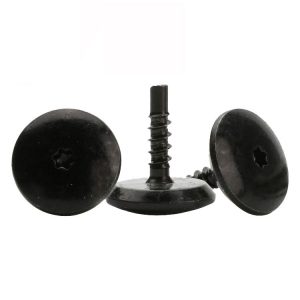 black torx screws