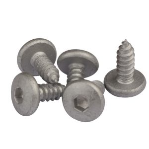 pan head socket screw