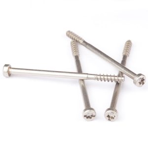 Stainless Steel Tapping Screws