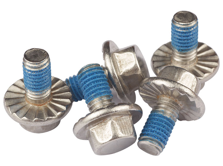 serrated flange screws