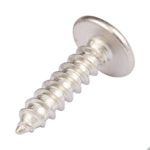 truss head tapping screw