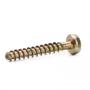 Tri Wing Security Screw