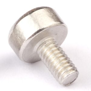 Stainless Cap Screws