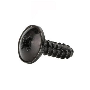 black phillips head screws