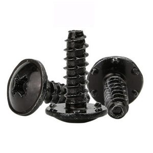 black phillips head screws