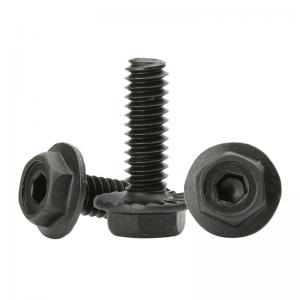 black allen head screws