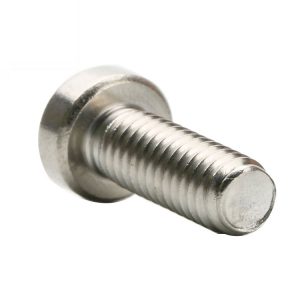 stainless steel 304 screw