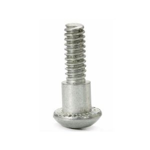 anti slip screw