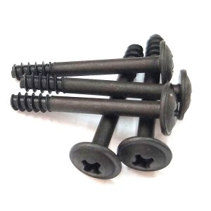 black phillips head screws