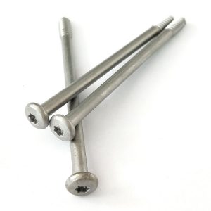 stainless steel torx screws