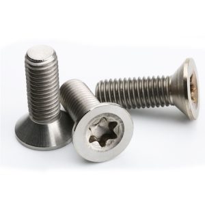 316 stainless steel screw manufacturer