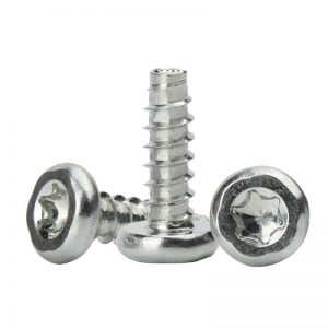 torx screw