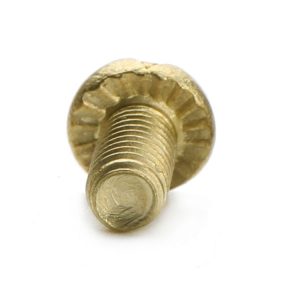 serrated screw