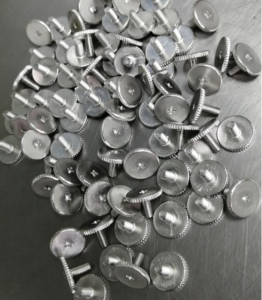 stainless steel special screws