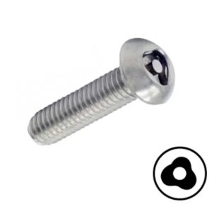 anti-theft screw