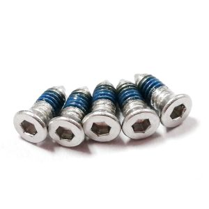 304 stainless screw