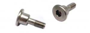 stainless steel hex socket head cap screw