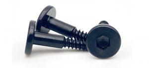 ss tapping screw