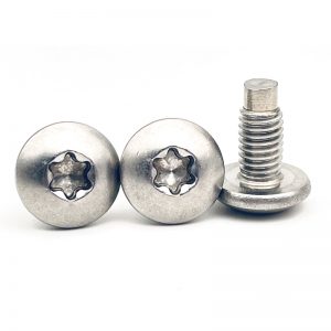 stainless steel torx head machine screws