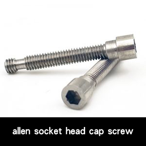 allen socket head cap screw, socket hex screws