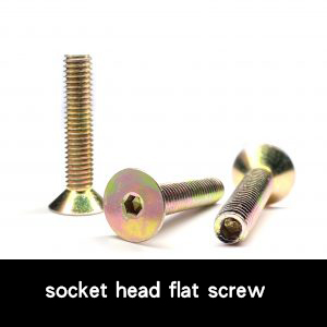 socket head flat screw