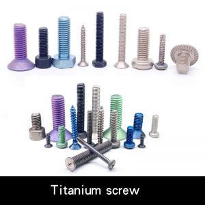 titanium screw manufacturer factory