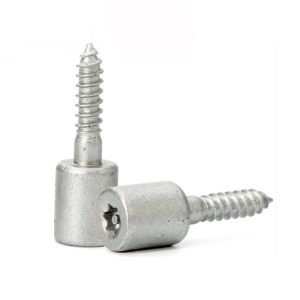 Torx Fillister Head Screw