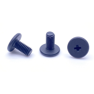 Grey low-profile Phillips screws showing the cross recess, flat bearing head and machine thread on a white background