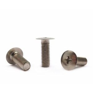 Ultra thin head stainless steel screws